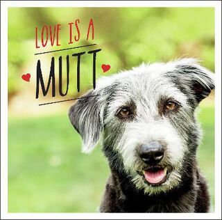 Love is a Mutt