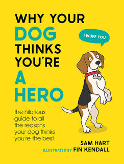 Why Your Dog Thinks You're A Hero