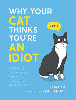 Why Your Cat Thinks Youre an Idiot