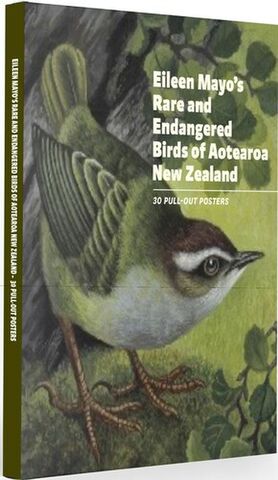 Eileen Mayos Rare and Endangered Birds of Aotearoa New Zealand 30 Pull Out Posters