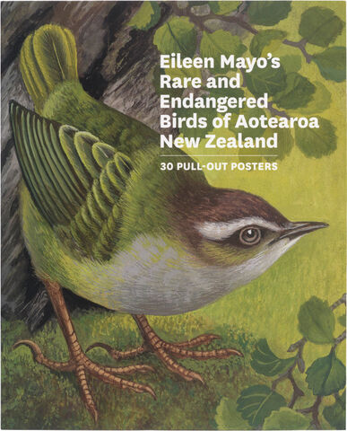 Eileen Mayos Rare and Endangered Birds of Aotearoa New Zealand