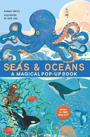 Seas and Oceans A Magical Pop Up Book