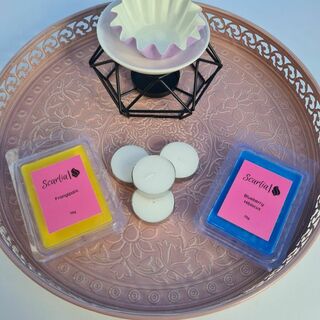 Wax Warmer and Wax Melts Bundle