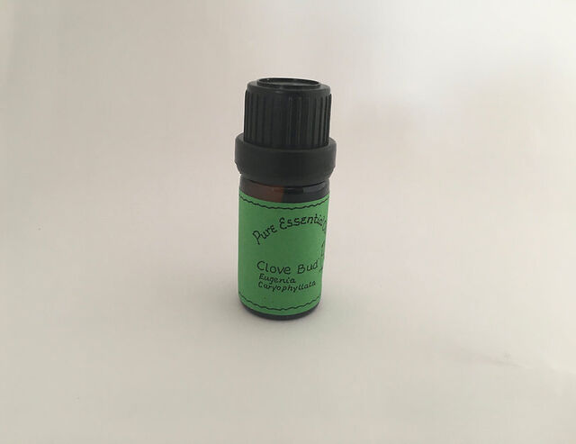Clove Bud Essential Oil