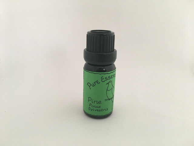 Pine Essential Oil