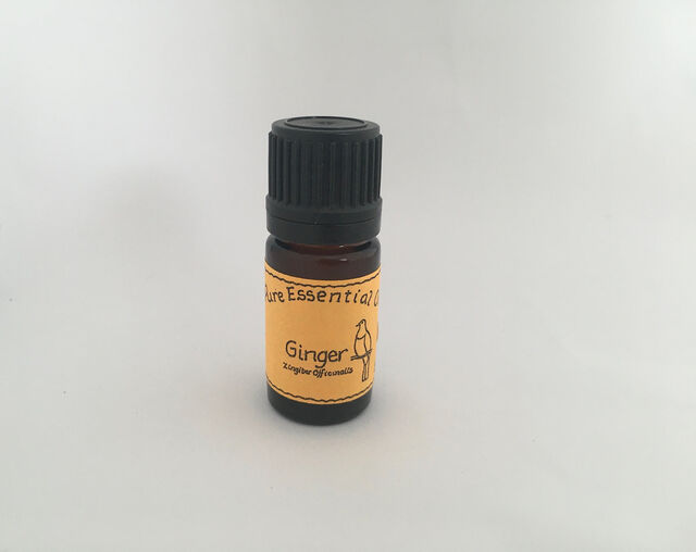 Ginger Essential Oil