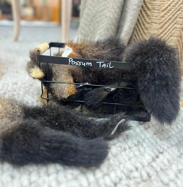 Possum Tail