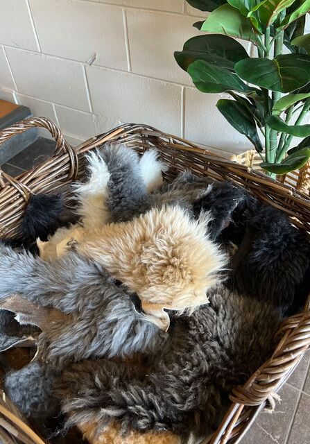 Sheepskin Offcuts - Longwool XSmall