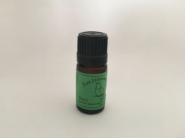 Basil Essential Oil - Organic