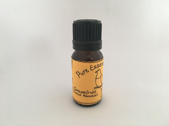 Grapefruit Organic Essential Oil