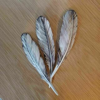 Feather carvings