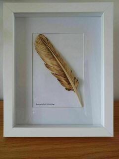 Feather carving - framed - FOR SALE