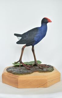 Pukeko - Half size