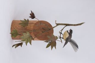 Hand Carved Fantail