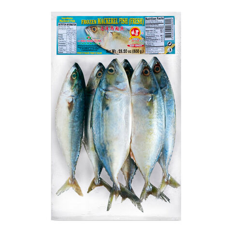 No.1 Frozen Mackerel Fish 800g