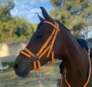 Style Your Own Accessories | LS Equestrian NZ