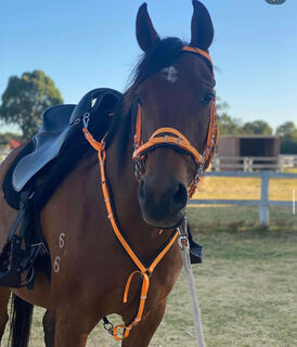 Hackamore Padding Replacement Set - Design your own