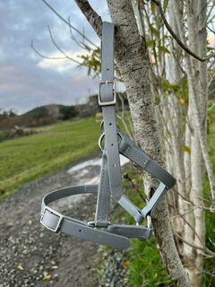 Style Your Own Paddock Halter- Nickel Fittings
