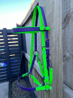 LS Deux Bridle - Fluro Green & Purple