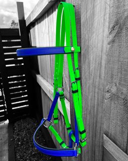 LS Deux Bridle - Padded Bright Green & Royal Blue