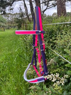 LS Deux Bridle - Padded Violet Purple & Pink