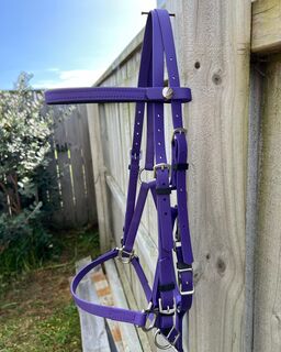 LS Deux Bridle - Violet Purple