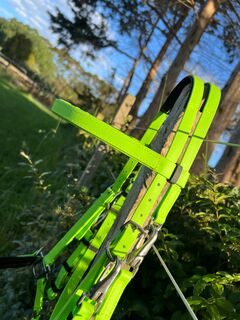 3 in 1 Bridle - Apple Green