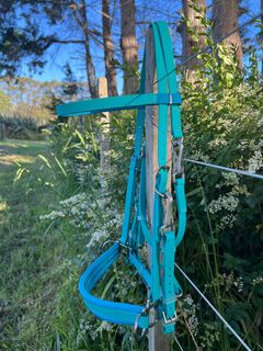 3 in 1 Bridle - Teal