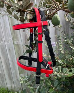 Simplicity Bridle - Black & Red