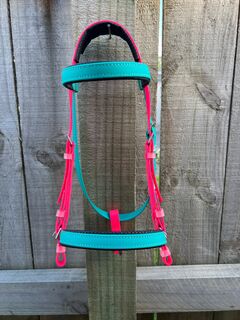 Simplicity Bridle - Teal & Bright Pink