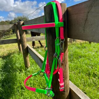 LS Enduro Bridle - Bright Green & Pink