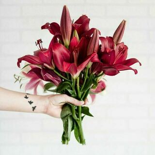 Flowers 1