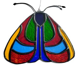 Large multi coloured moth
