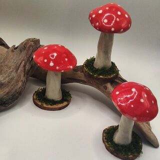 Ceramic Toadstool on Wood