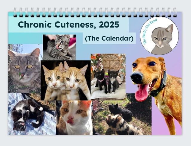 Chronic Cuteness 2025 Calendar