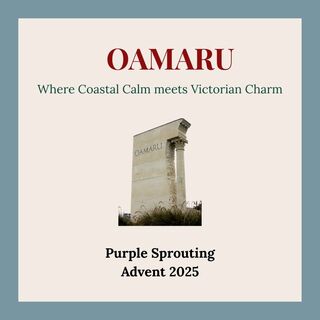 Oamaru Yarn Advent 2025 - Purple Sprouting