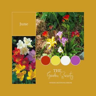 The Garden Society - June