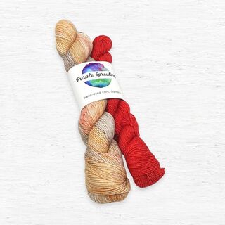 Shell Belle and Holiday Red Sock Set