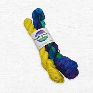 Spellbound Lemon Hex Sock Set