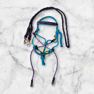 Bitless bridle