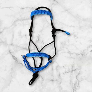 Bitless bridle