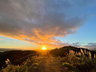 HILLTOP VIEW