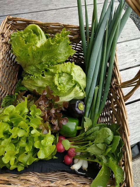 Food Baskets | 450north