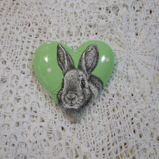 Rabbit Heart