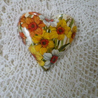 Daffodil Heart