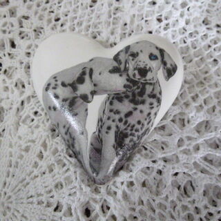 Dalmatian Dog Heart