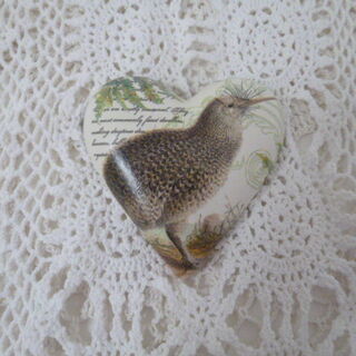 NZ Kiwi Heart