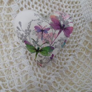 Dragon Fly Splash Heart