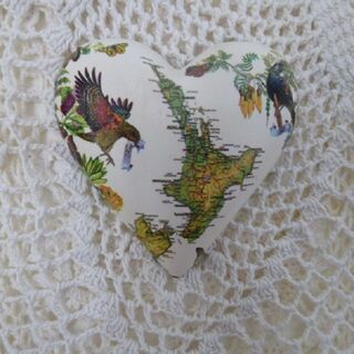 North Island Heart