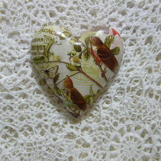 Bird Heart